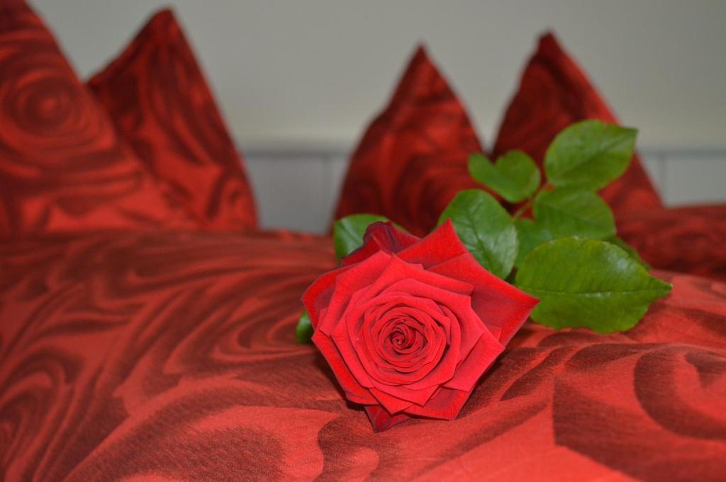 Hotel Zum Kreuz Aarau Phòng bức ảnh